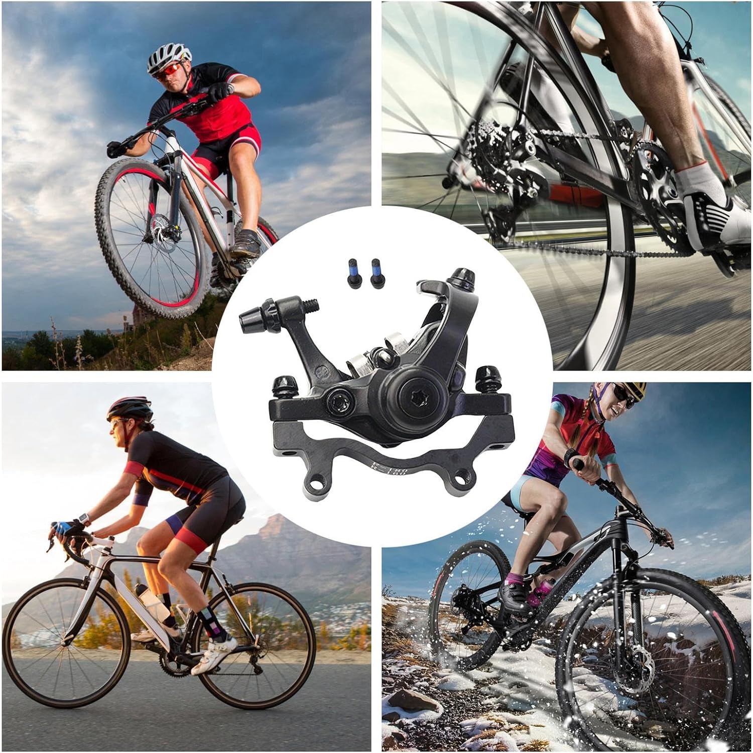 90a2f9965f22e14809b3542144d5f28d_1735825087