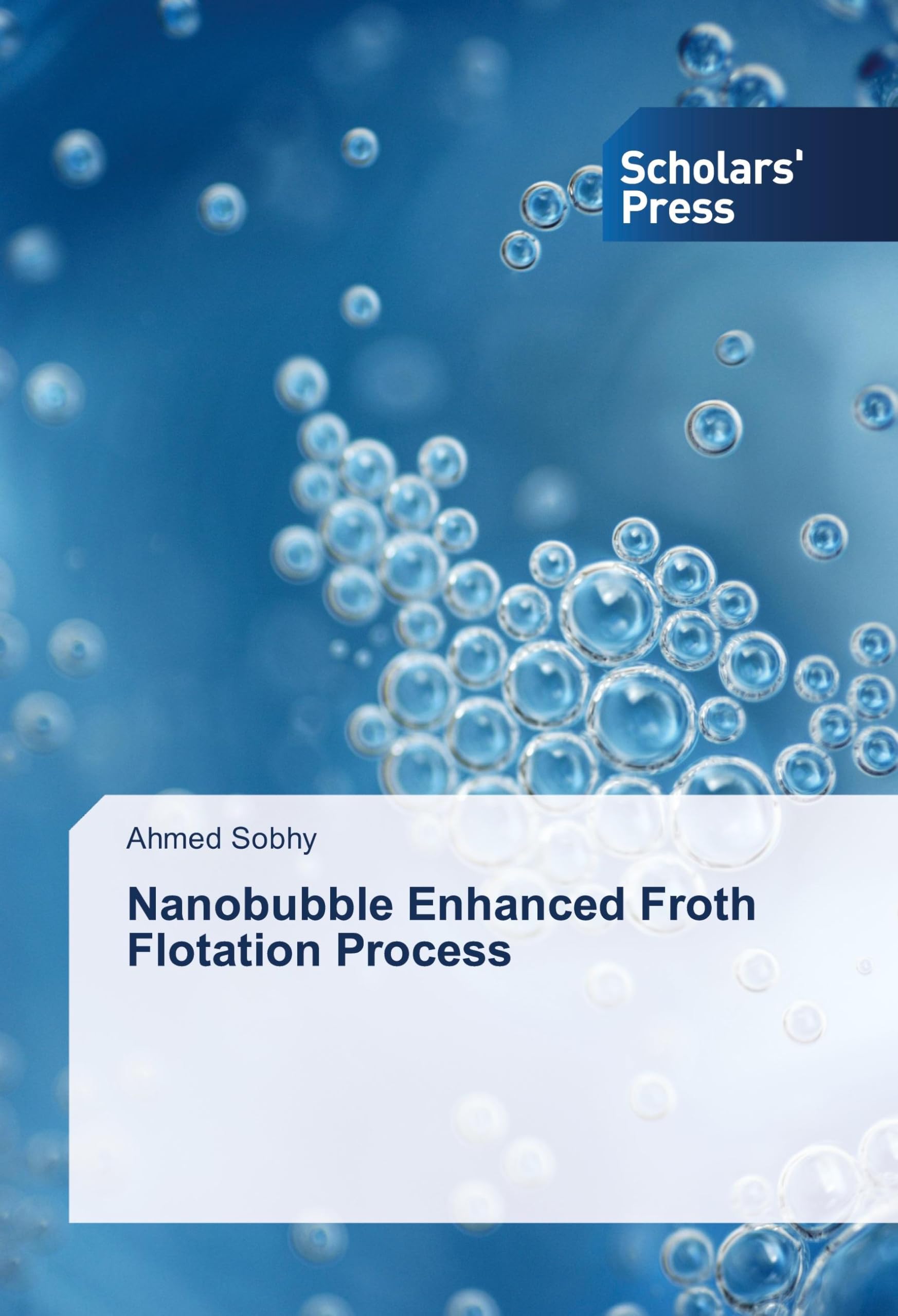 Nanobubble Enhanced Froth Flotation Process