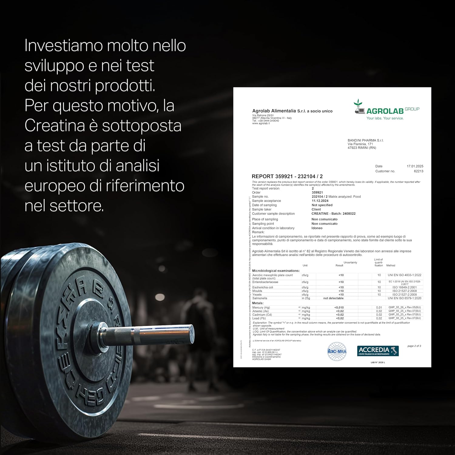 Bandini® Micronised Creatine Monohydrate 1 kg/1000 g in 100% Pure and Vegan Powder – Food Supplement for Gym, Sport, Fitness and Pre Workout – Creatine Monohydrate