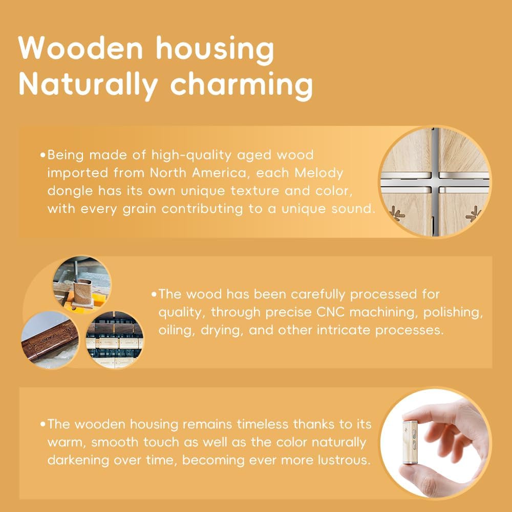 FiiO Snowsky Melody Portable DAC Headphone Amplifier with 4.4mm and 3.5mm Headphone Outputs, Support DSD256, 10-Band PEQ for Android/iOS/Mac/Windows (Macle) Maple