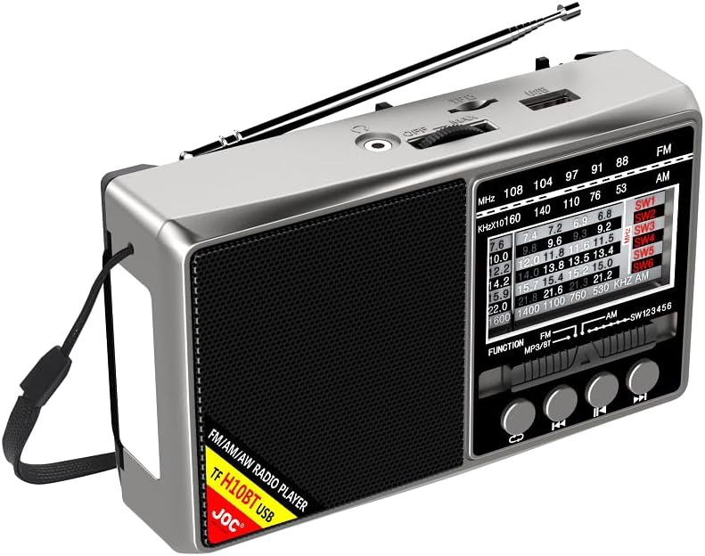 LYEAA Portable Shortwave Radio with Multi-Band Reception, Bluetooth Compatible, Battery Operated, Emergency Radio Ready H10 Gray