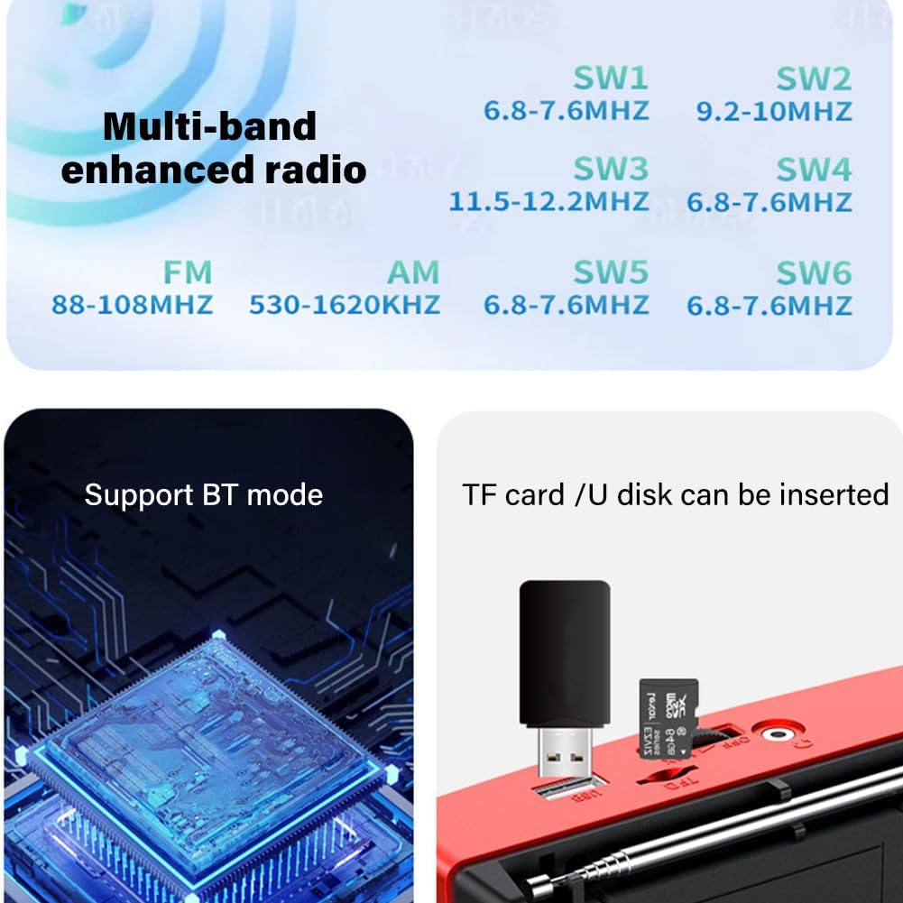 LYEAA Portable Shortwave Radio with Multi-Band Reception, Bluetooth Compatible, Battery Operated, Emergency Radio Ready H10 Gray