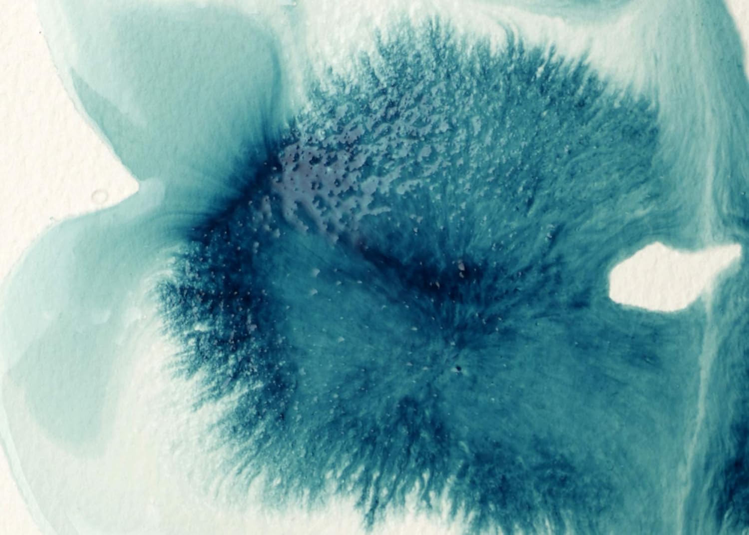 Liquitex Professional Flow Aid - Fluidifier, medium bottle, 118 ml Single