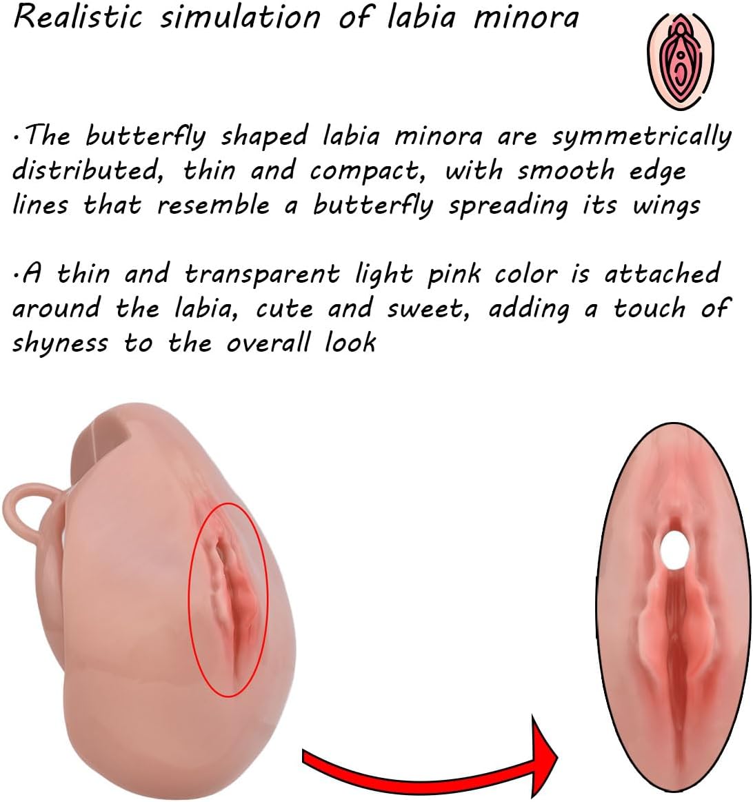 Men's 3D Resin Fitness Exercise Protection Cage - Matching Auxiliary Bands - 4 Colors - A331 Brown Auxiliary Belt