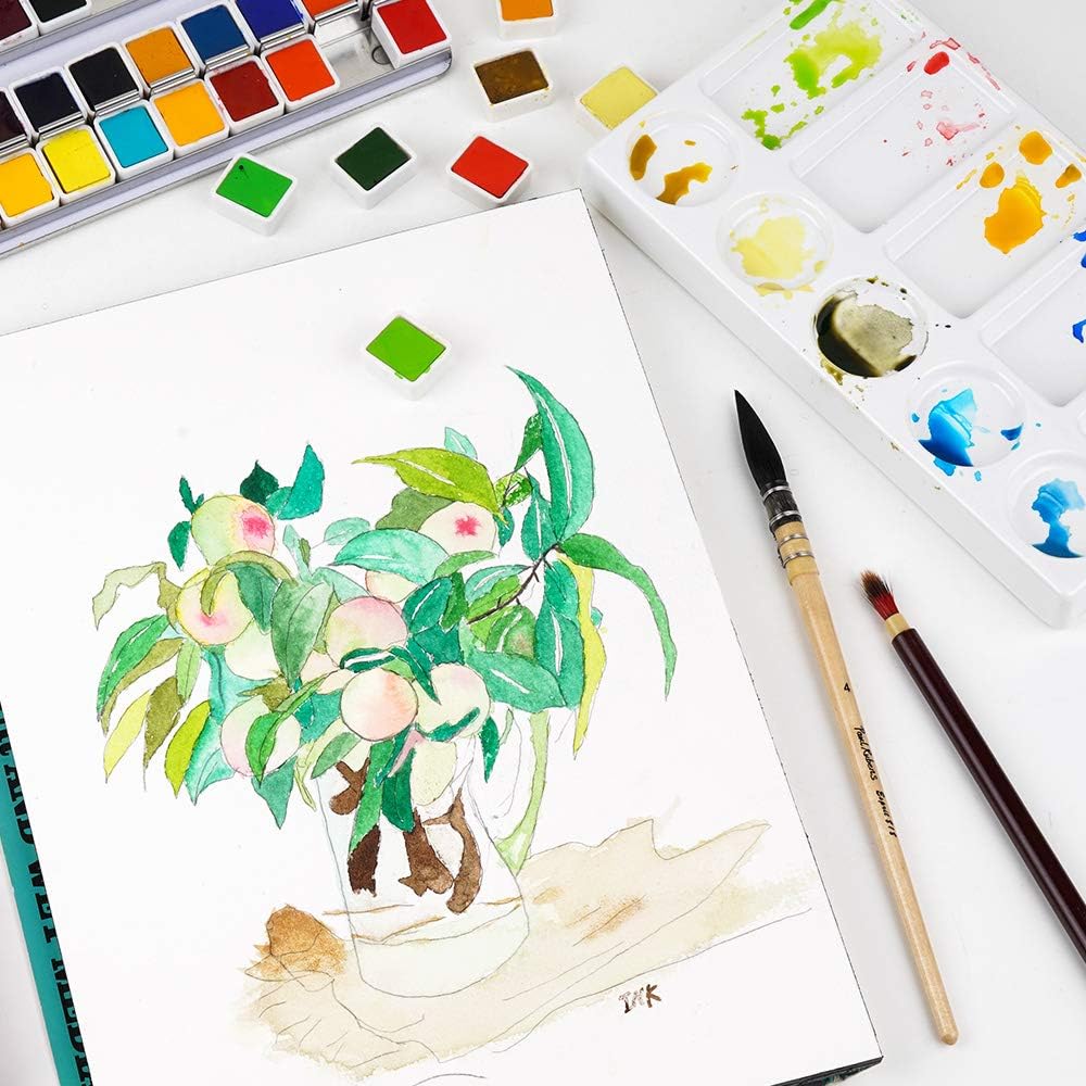 Paul Rubens 48 Professional Watercolor Colors Set Portable Metal Case with Pallet, for Artists, Masters, Students, Children, Beginners Cadmium Yellow