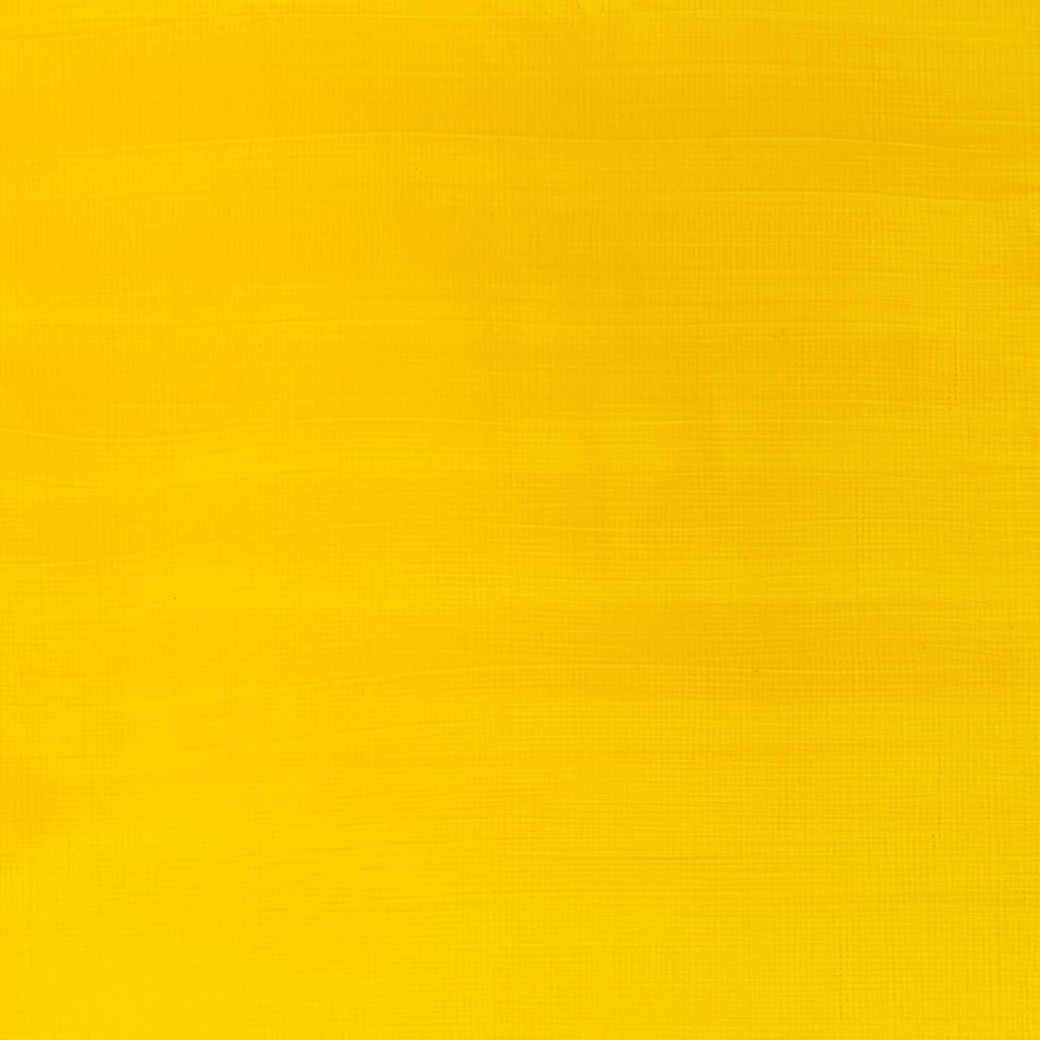 Winsor & Newton Galeria Acrylic Color 500ml - Cadmium Yellow Medium Imitation 500 ml (Pack of 1) yellow