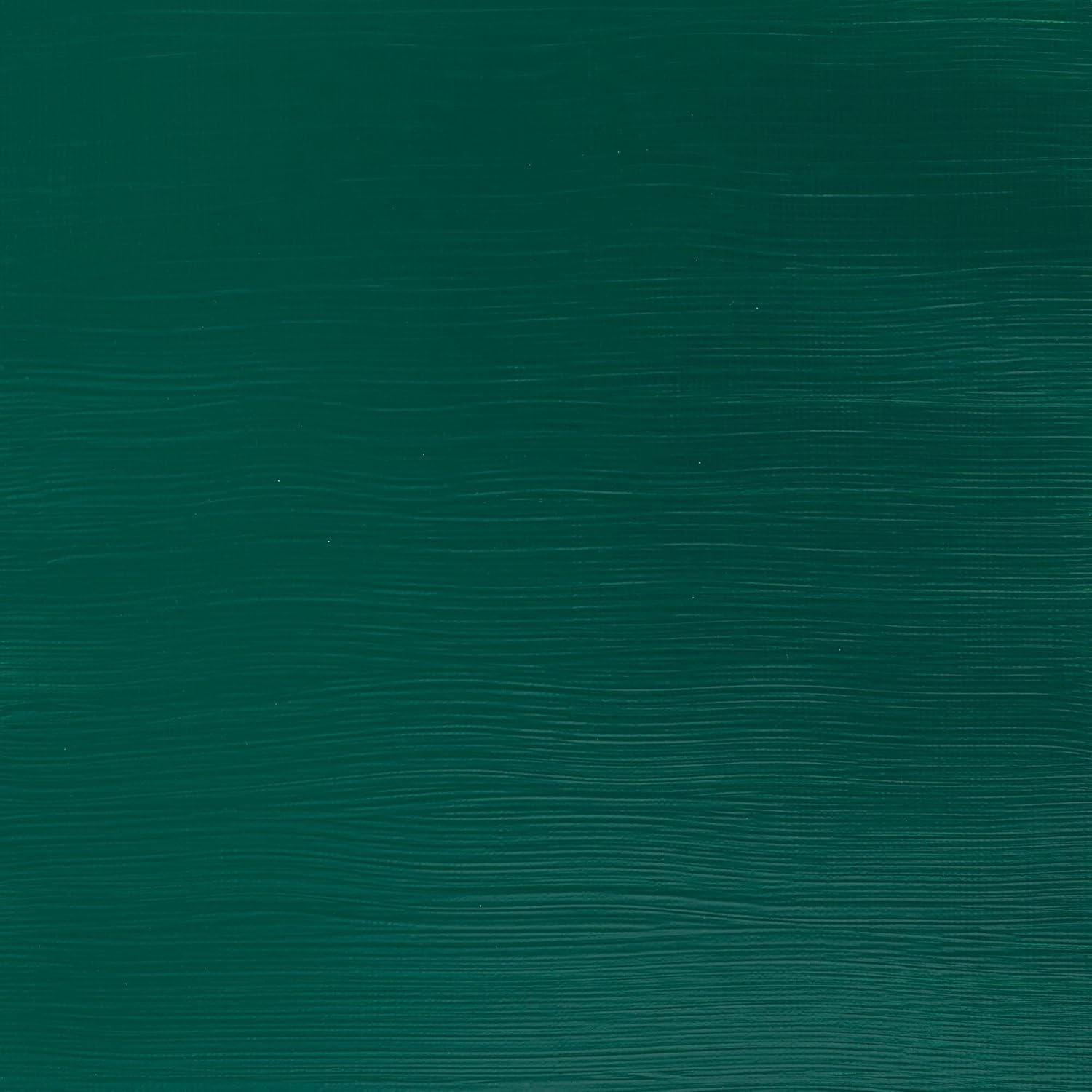 Winsor & Newton Galeria Acrylic Color 500ml - Dark Permanent Green 500 ml (Pack of 1) Dark Permanent Green
