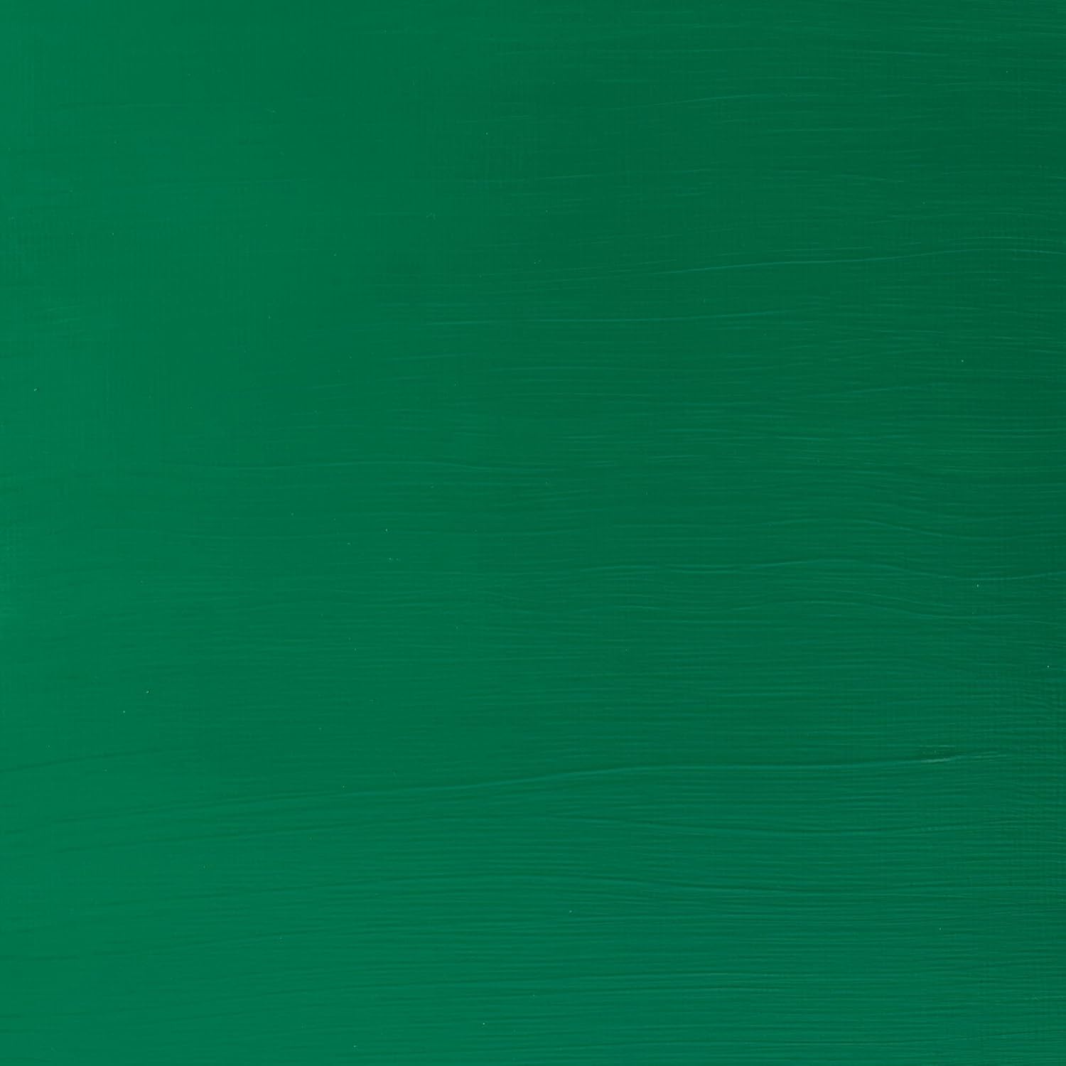 Winsor & Newton Galeria Acrylic Color 500ml - Medium Permanent Green 500 ml (Pack of 1) Medium Permanent Green
