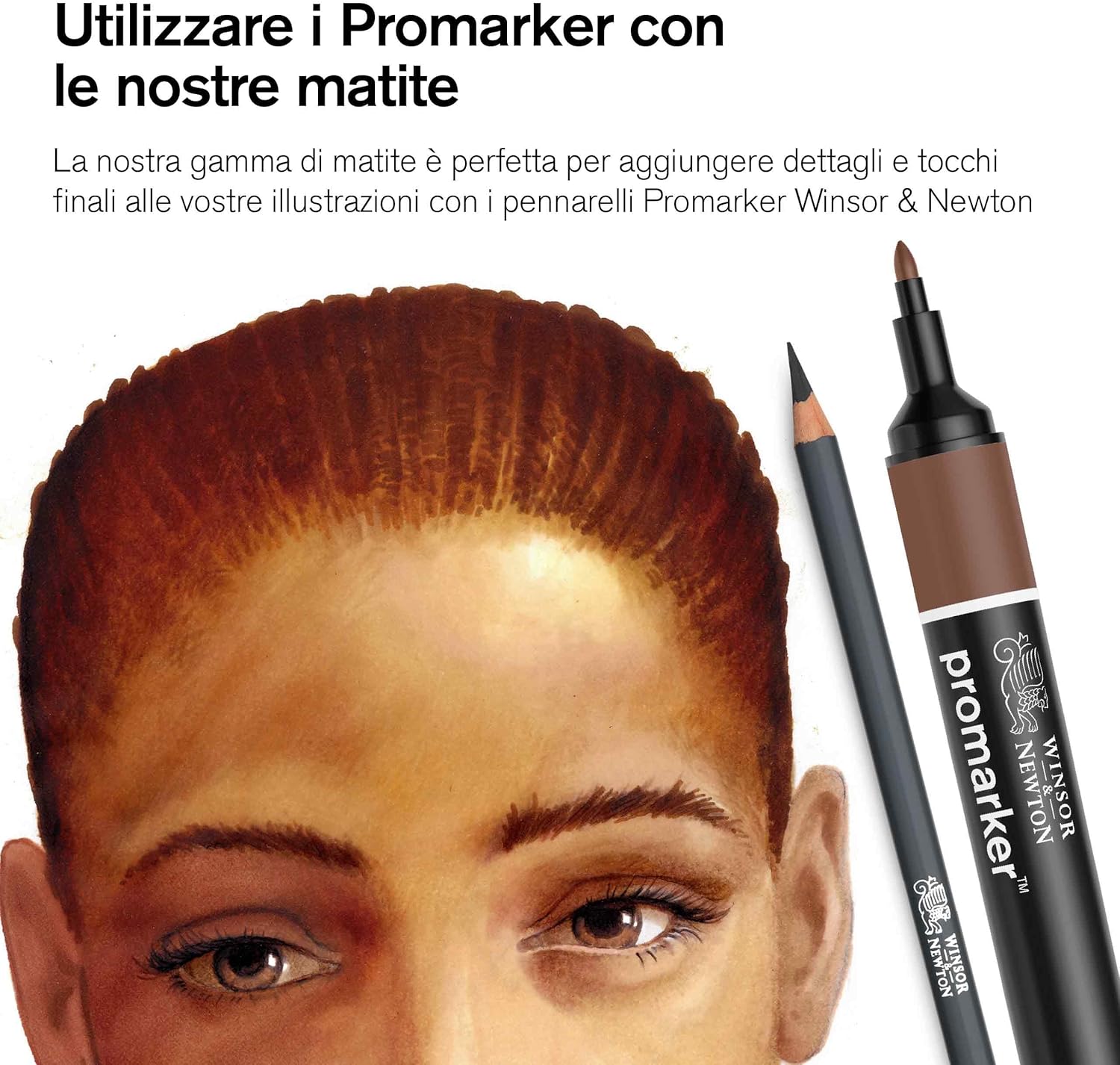 Winsor & Newton Pencils Studio Collection - Metal Box 48 Watercolor Pencils 48 Watercolor Pencils