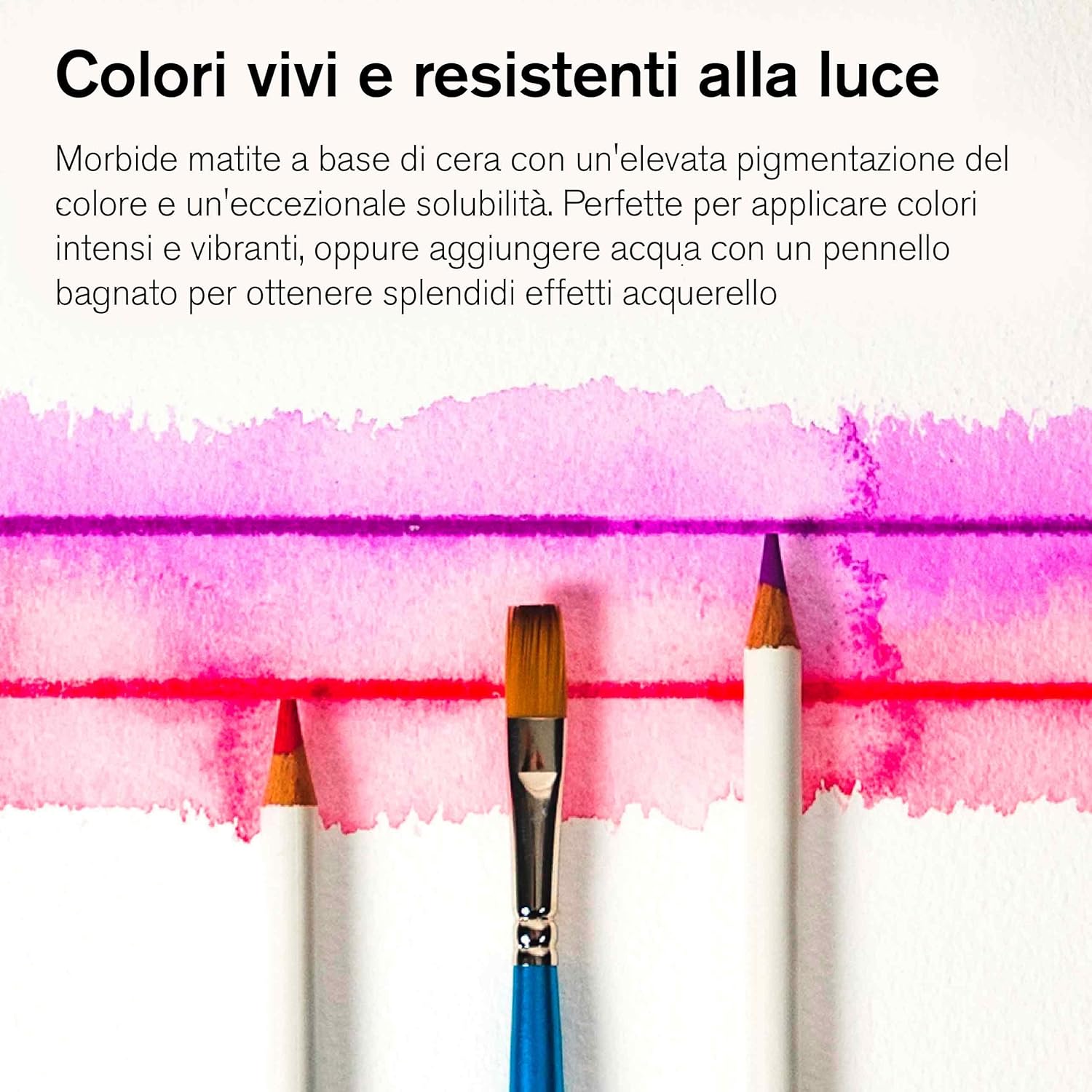 Winsor & Newton Pencils Studio Collection - Metal Box 48 Watercolor Pencils 48 Watercolor Pencils