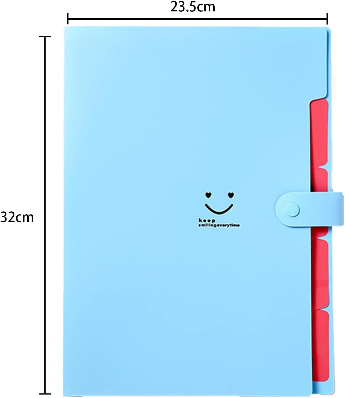 6 A4 File Folders, A4 File Folders with Compartments File Organizer Folder with Labels 5 Compartments Expandable Portable File Folder for Home or Office