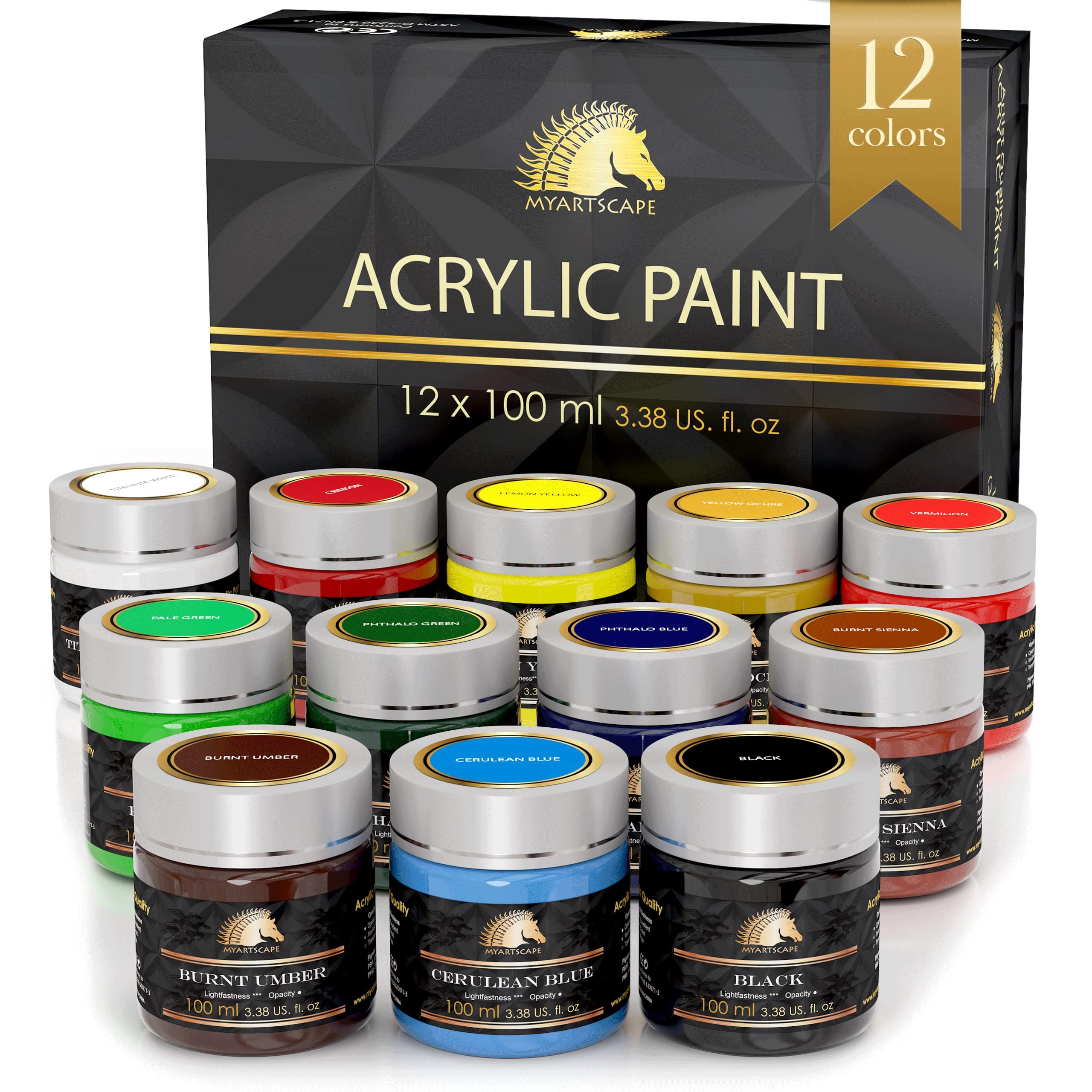 MyArtscape Acrylic Paint Set, 12 x 100ml Bottles, Artist Quality Colours, Lightfast, Heavy Body, Highly Pigmented Colors with Great Coverage 100ml x 12.