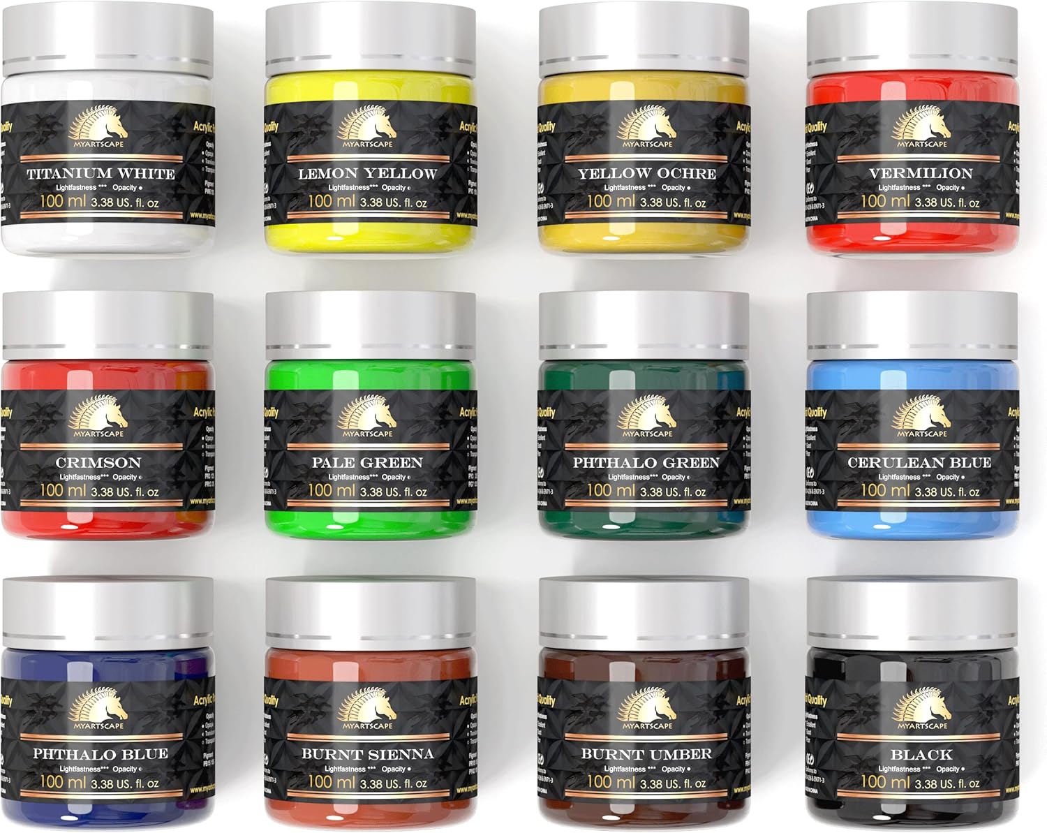 MyArtscape Acrylic Paint Set, 12 x 100ml Bottles, Artist Quality Colours, Lightfast, Heavy Body, Highly Pigmented Colors with Great Coverage 100ml x 12.