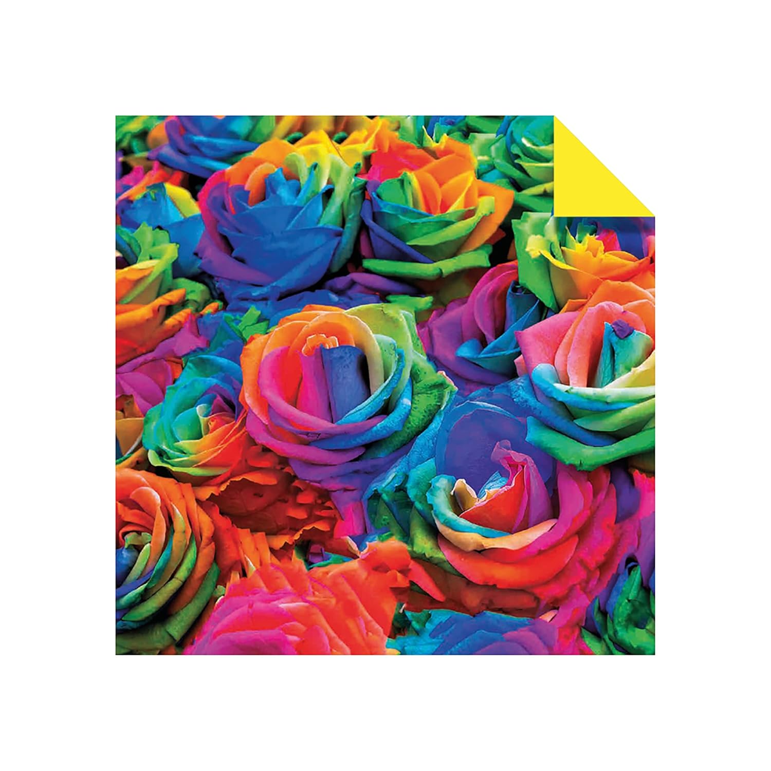 Origami Paper 500 Sheets Rainbow Patterns 6 inches - 15 cm: Tuttle Origami Paper: High-Quality Double-Sided Origami Sheets Printed With 12 Different Designs (Instructions for 6 Projects Included)