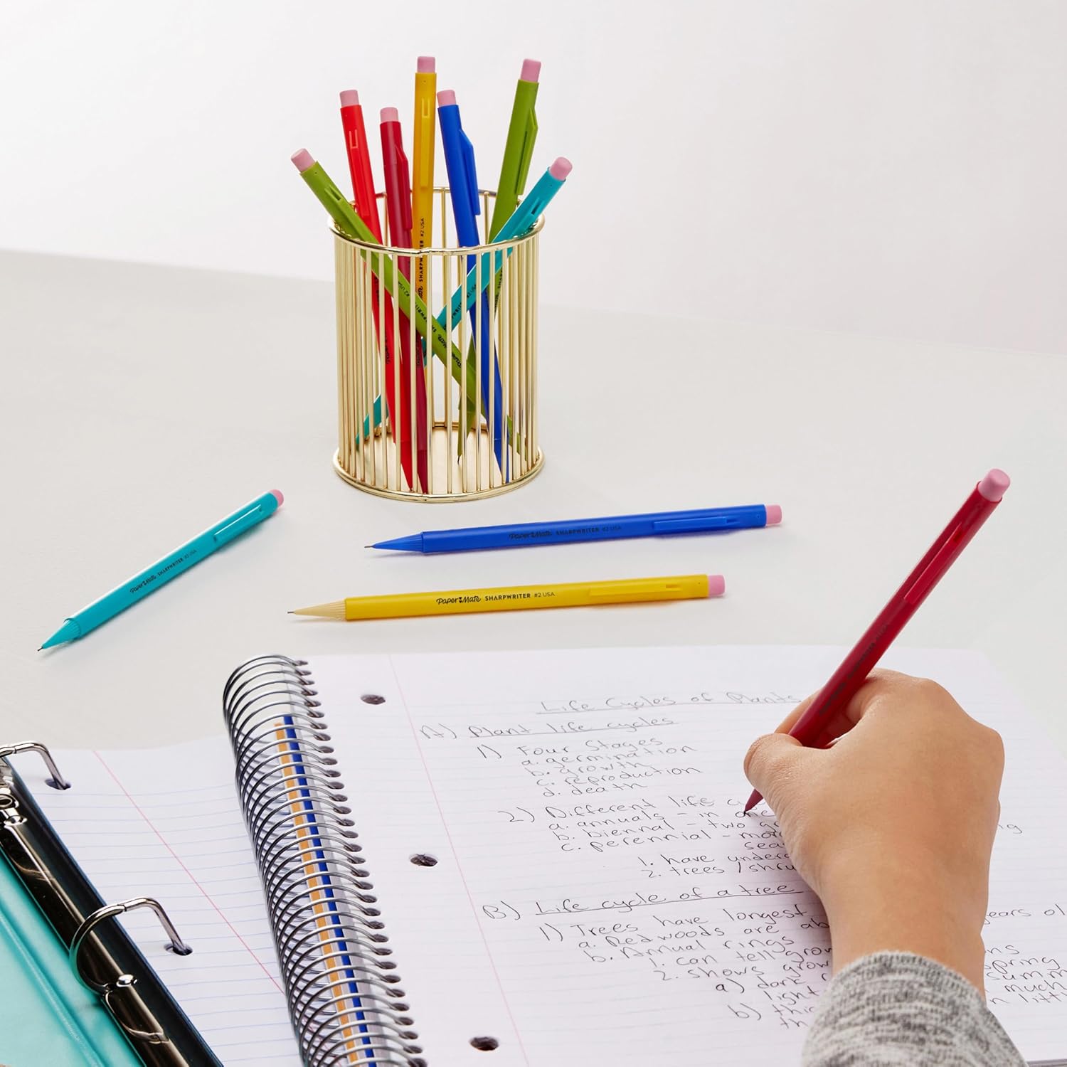 Paper Mate Non-Stop mechanical pencil | 0.7mm | HB no. 2 | assorted neon colors | pack of 4 4 units (Pack of 1) Assorted